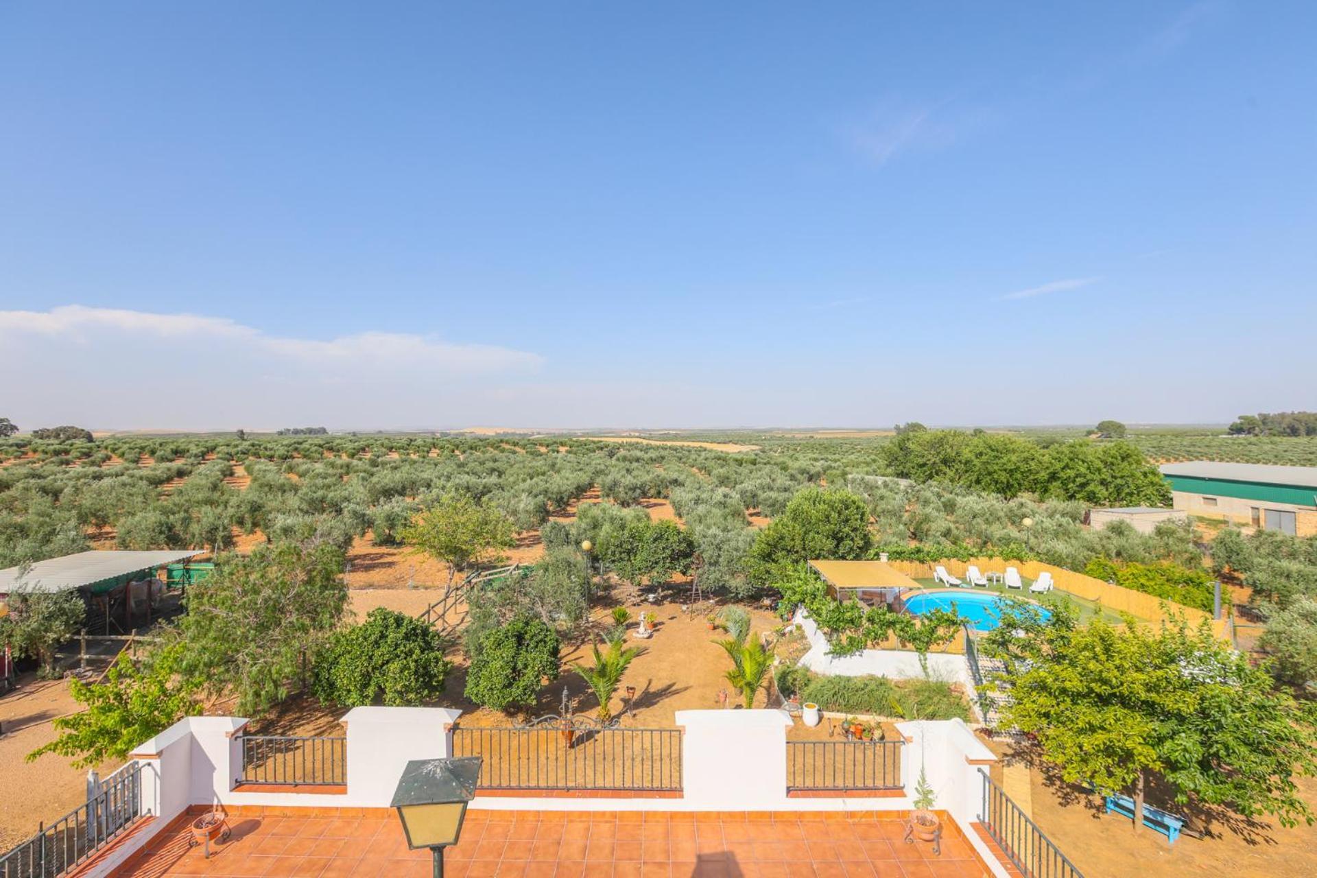 Casa Rural Los Miradores Marchena Kültér fotó