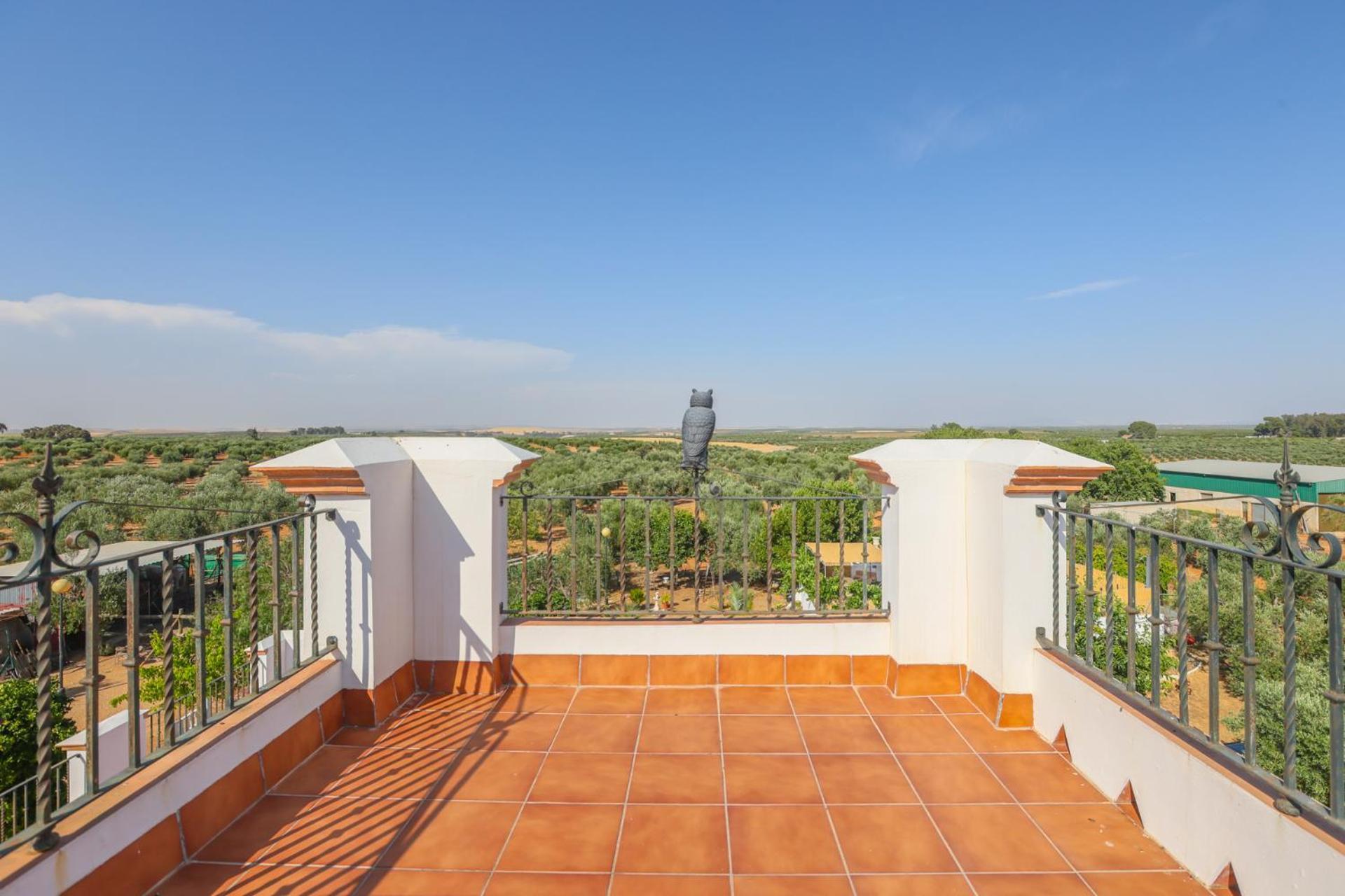 Casa Rural Los Miradores Marchena Kültér fotó
