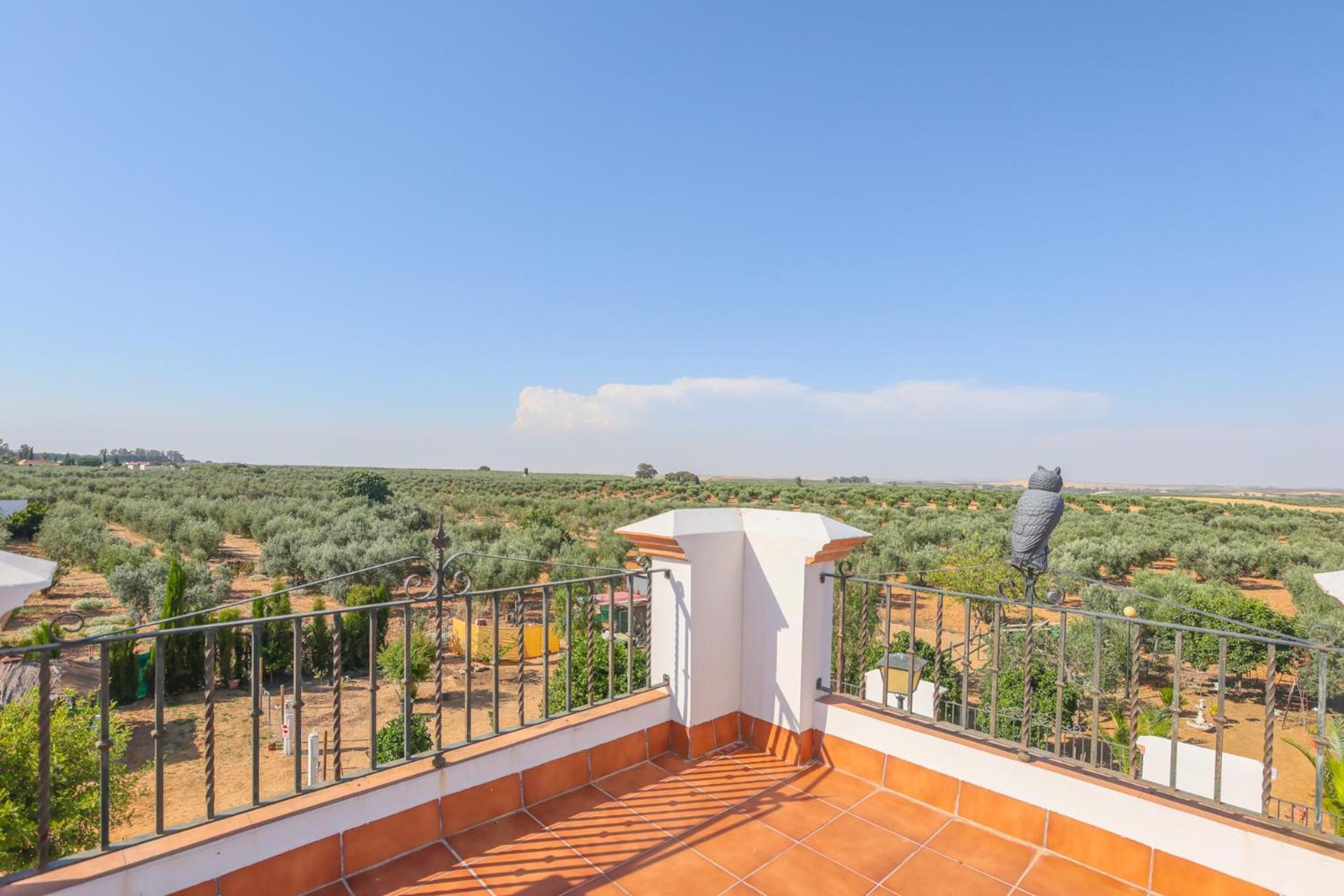 Casa Rural Los Miradores Marchena Kültér fotó