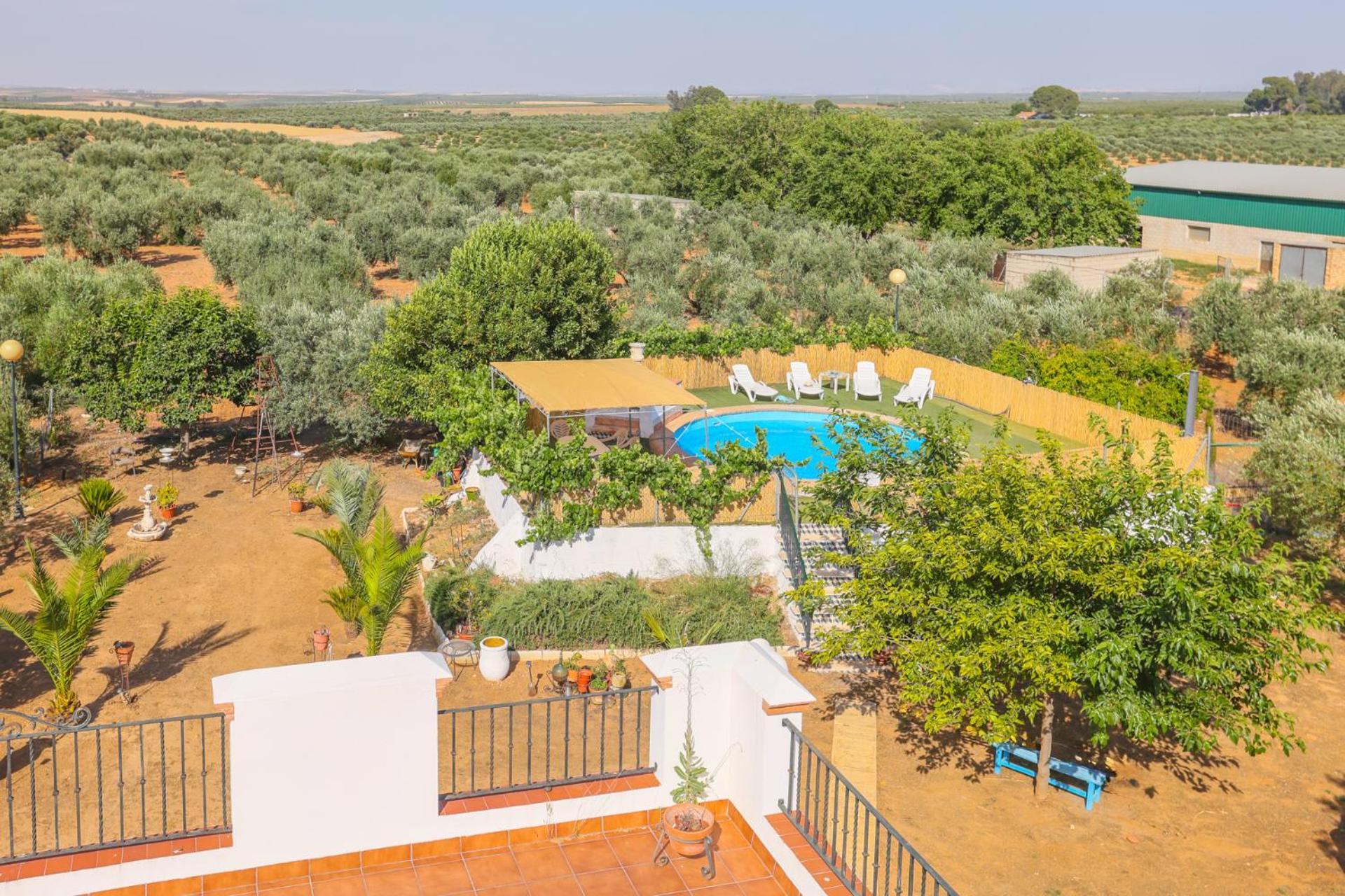 Casa Rural Los Miradores Marchena Kültér fotó